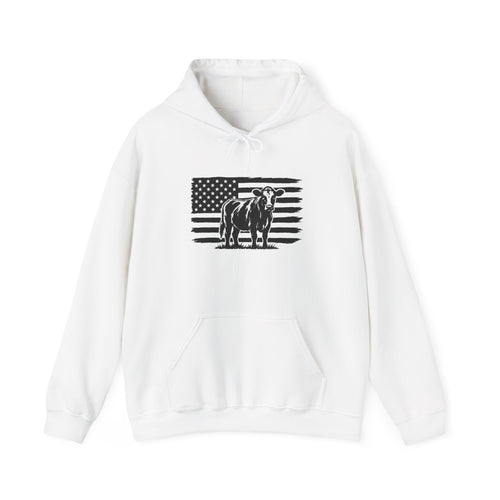 American Flag Unisex Hooded Sweatshirt