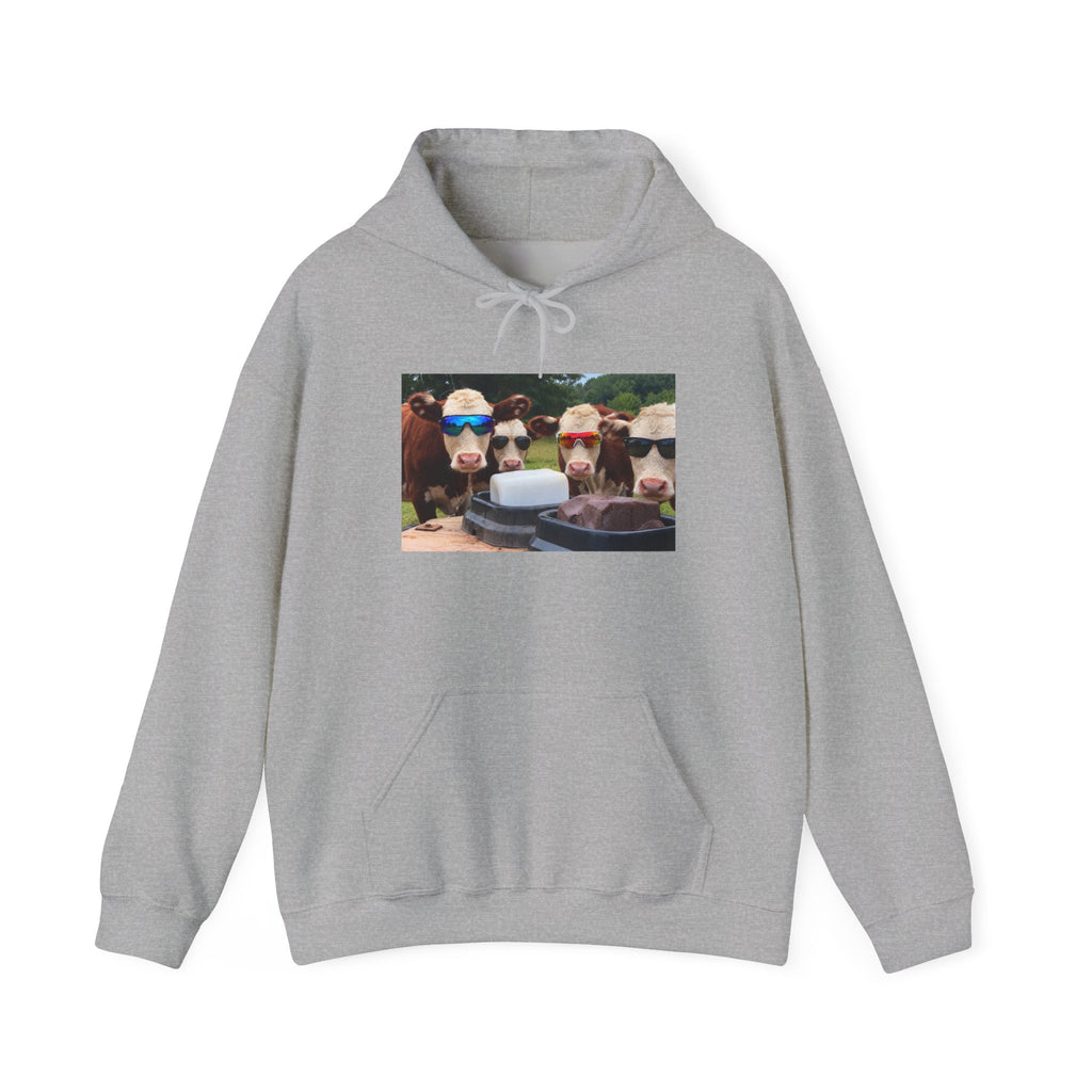Utley Meadows Farm - Cool cows -  Hooded Sweatshirt
